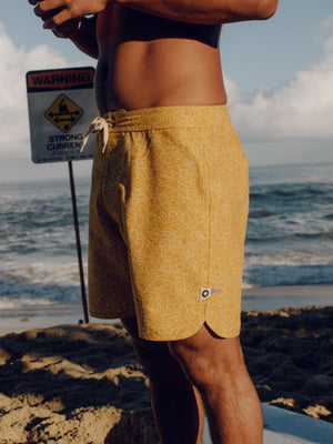 Image of Scallop Trunks in Hanalei Sun Shine