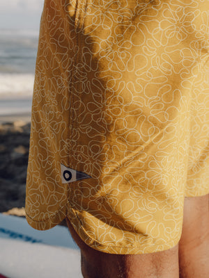 Image of Scallop Trunks in Hanalei Sun Shine