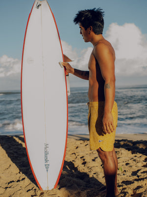 Image of Scallop Trunks in Hanalei Sun Shine