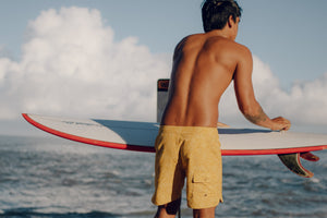 Image of Scallop Trunks in Hanalei Sun Shine