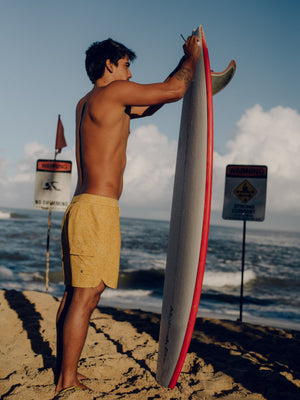 Image of Scallop Trunks in Hanalei Sun Shine