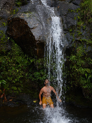 Image of Scallop Trunks in Mustard