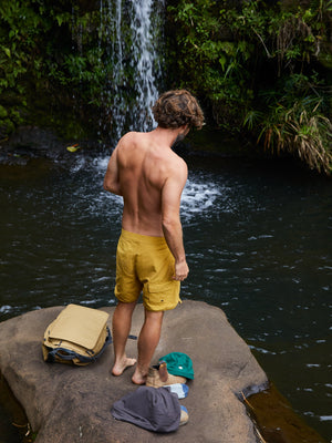 Image of Scallop Trunks in Mustard