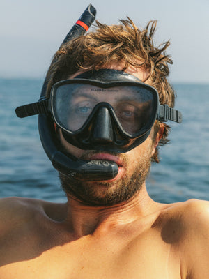 Image of Scallop Trunks in Mustard