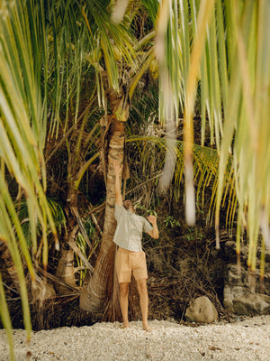 Image of Summer Shirt in Mushroom