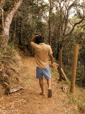 Image of Summer Shirt in Tan Earth Stripe