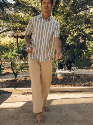 Image of Summer Shirt in Walnut Stripe