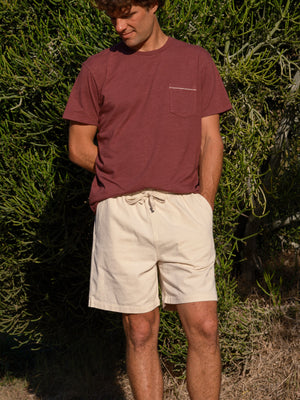 Image of Summer Shorts in Salt