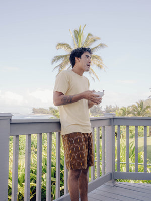 Image of Summer Shorts in Tobacco Ikat