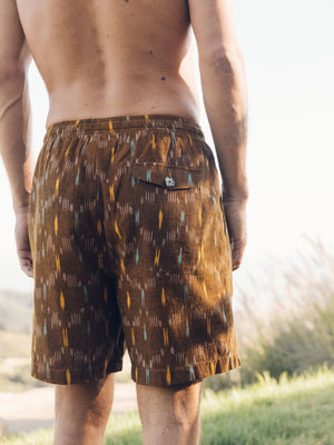 Image of Summer Shorts in Tobacco Ikat