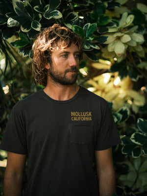 Surf Supply Tee - S - Mollusk Surf Shop - description