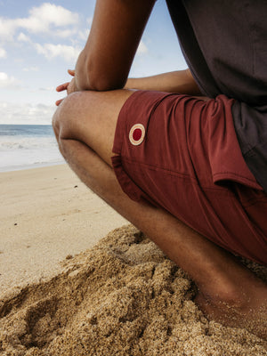 Image of Vacation Trunks in Brick