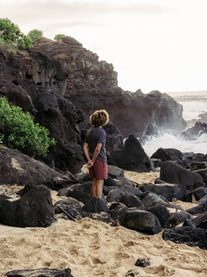 Image of Vacation Trunks in Brick