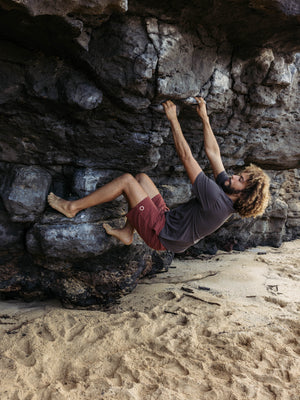 Image of Vacation Trunks in Brick