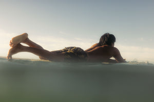 Image of Vacation Trunks in Kelp