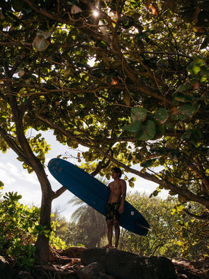 Image of Vacation Trunks in Kelp