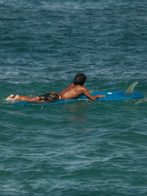 Image of Vacation Trunks in Kelp