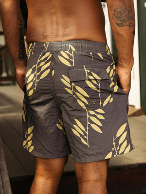 Image of Vacation Trunks in Kelp