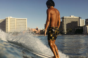 Image of Vacation Trunks in Kelp