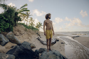 Image of Vacation Trunks in Mustard