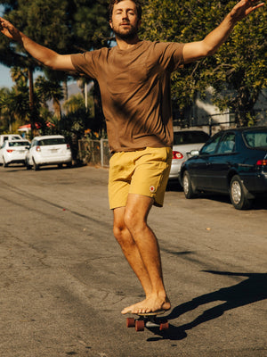 Image of Vacation Trunks in Mustard