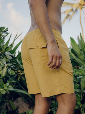 Image of Vacation Trunks in Mustard
