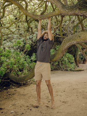 Image of Vacation Trunks in Tan Earth