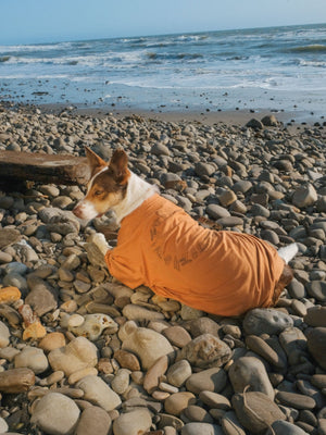 Image of Vans / Mollusk Drum Circle Tee in Orange Earth