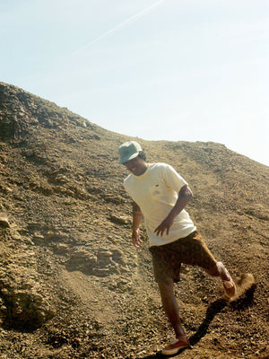 Image of Vans / Mollusk Jazz Bird Pocket Tee in Super Natural