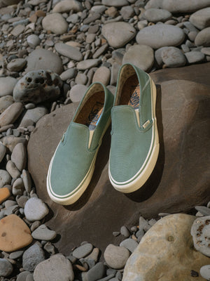 Image of Vans / Mollusk Slip-Ons SF in Wakame Hemp