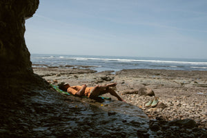 Image of Vans / Mollusk Slip-Ons SF in Wakame Hemp