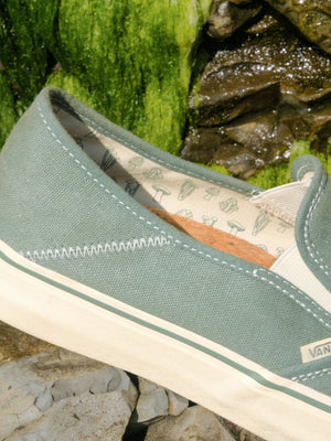 Image of Vans / Mollusk Slip-Ons SF in Wakame Hemp