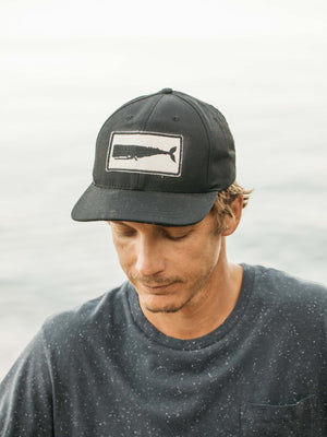 Image of Whale Patch Hat in Black