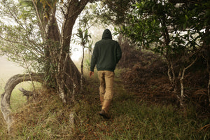 Image of Whale Patch Pullover in Forest