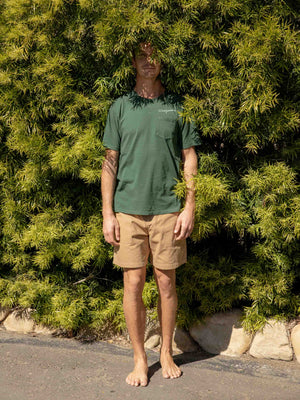 Image of Windjammer Tee in Rover Green