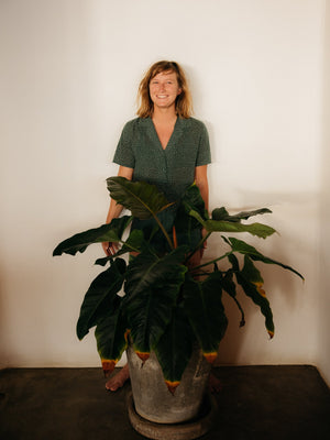 Image of Womens Aloha Shirt in Sequoia Seeing Dots