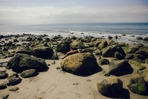 Image of Womens Mollusk Sweatpants in Red Rock