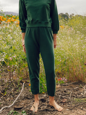 Image of Womens Mollusk Sweatpants in Sequoia Green