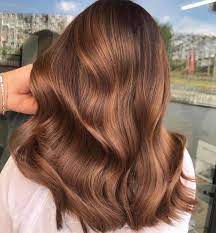 Ashimaryhair-2023 Fall Hair Colors Trends-blog7