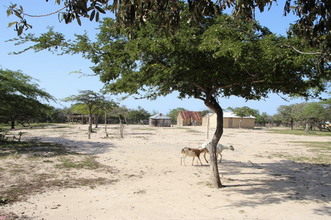 Desierto de la Guajira en Colombia