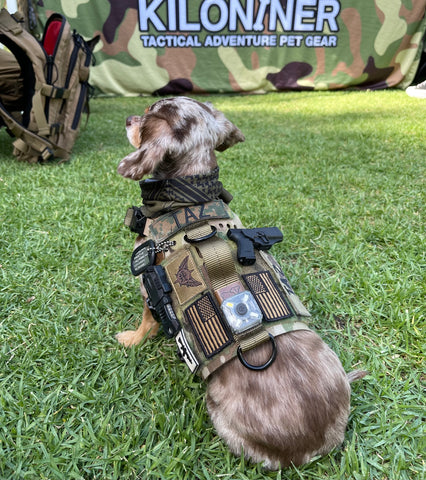 Tactical Armoured K9 Vest - Lightweight and Mobile