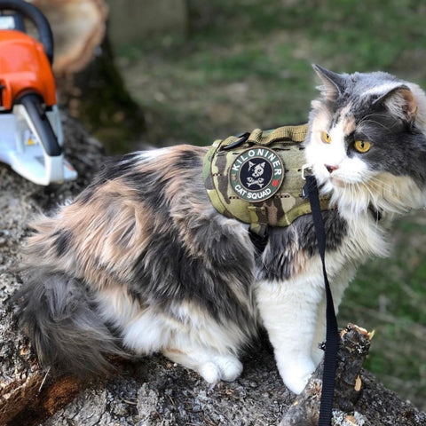  Tactical Patches with Velcro, with Reflective Fun Cat