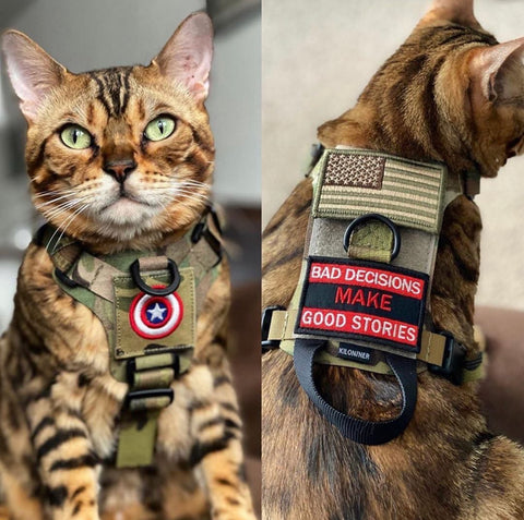 K9R - M1 Lightspeed Harness for Cats – kiloninerpets