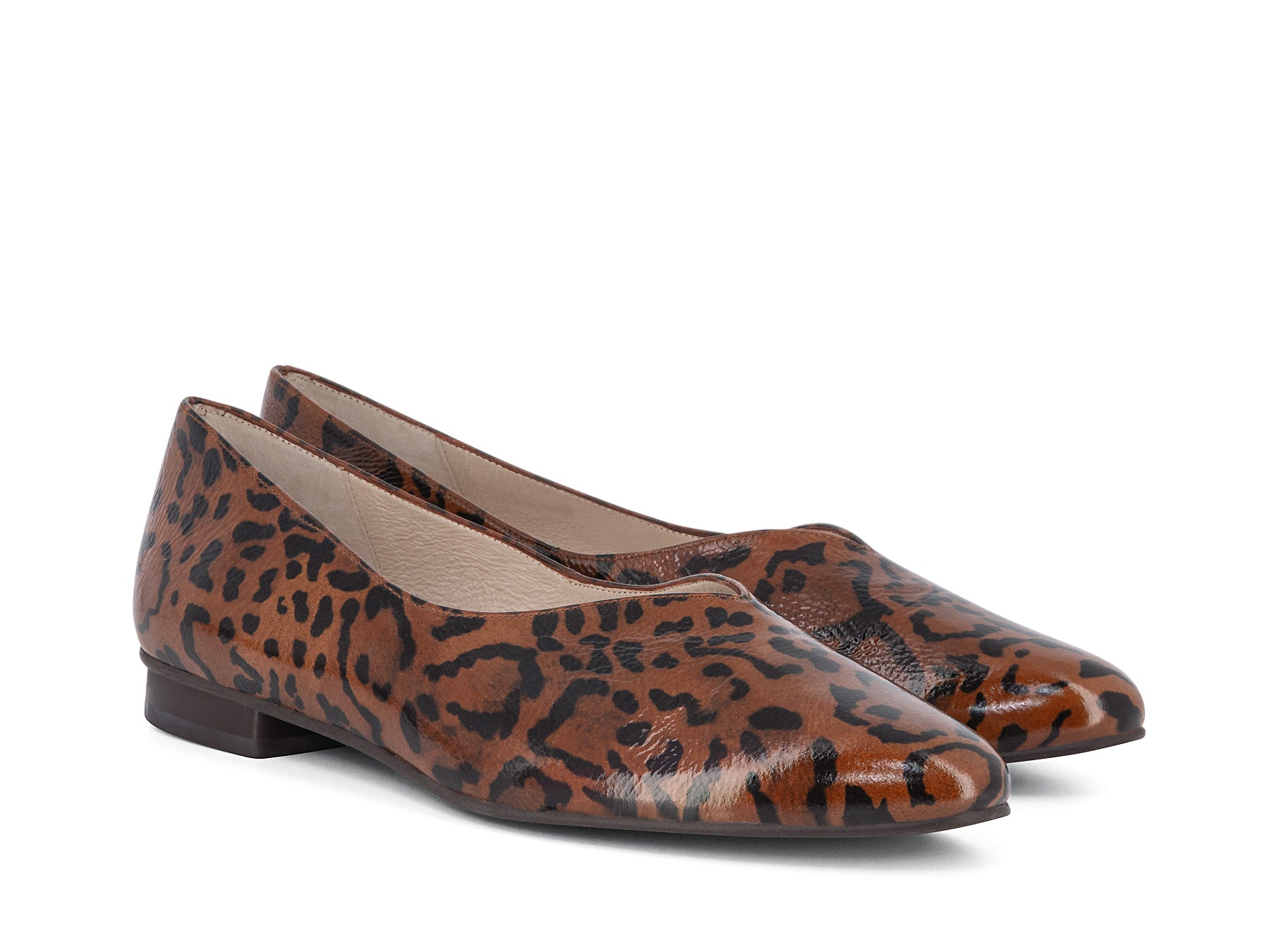 GRAMPIAN BROWN LEOPARD