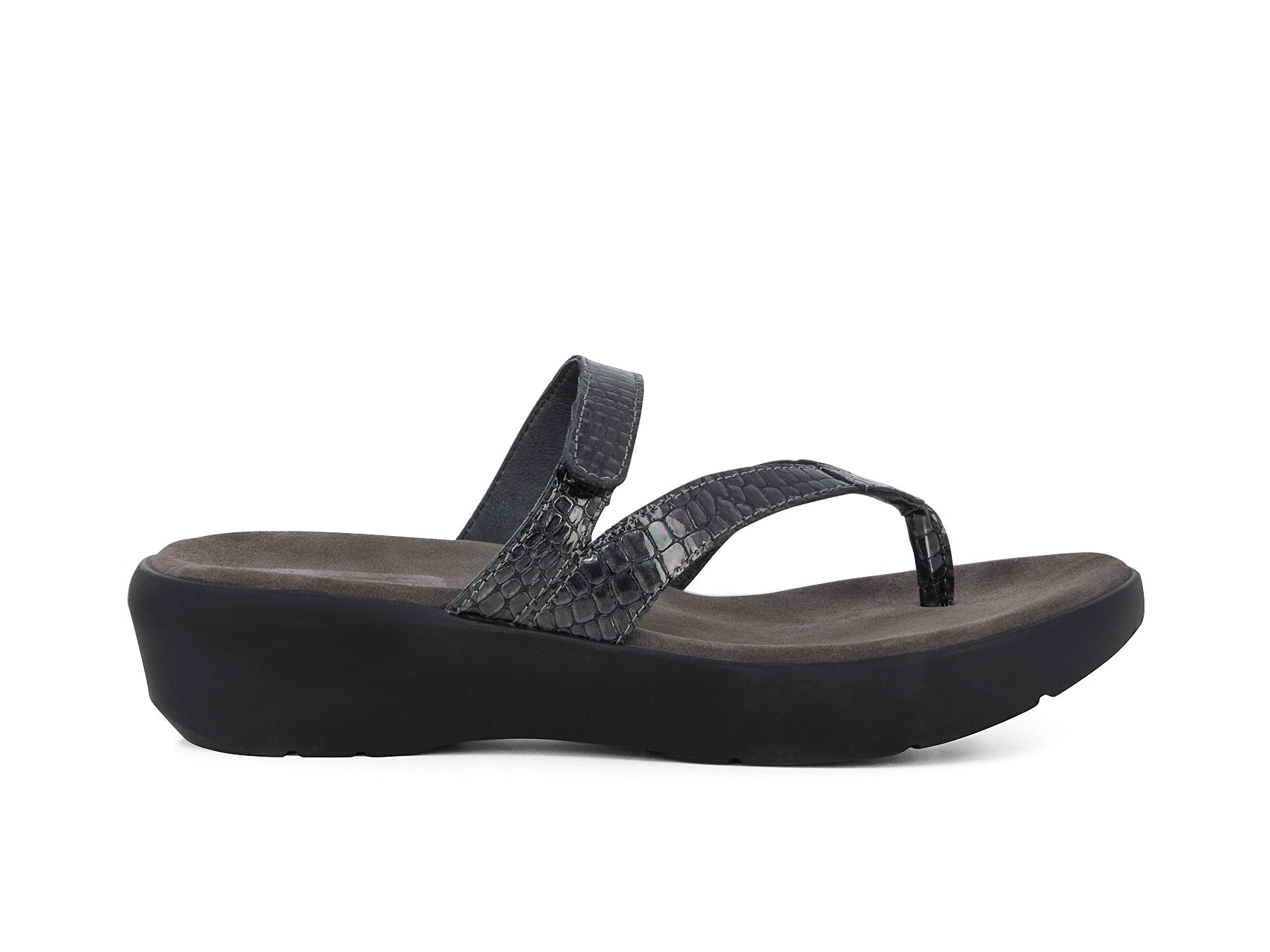 SUMMERY ANTHRACITE CROC