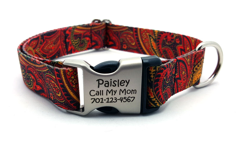 paisley dog collar