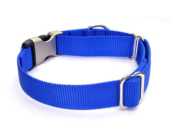 martingale with buckle