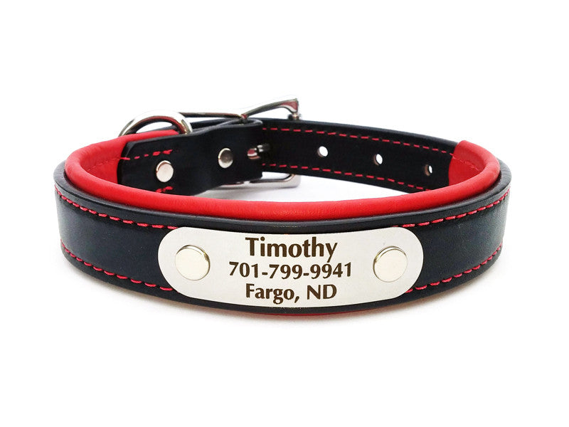 leather cat collar with nameplate reflective breakaway