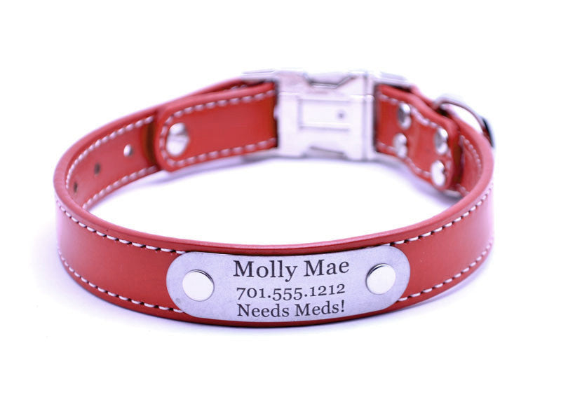 personalized quick release dog collars