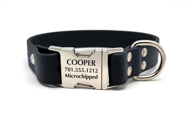 dog collar snap buckles